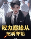权力巅峰后面是什么小说