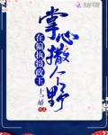 在偏执摄政王掌心撒个野
