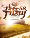 年代我在58有块田下载