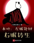 木叶:左眼轮回,右眼转生TXT