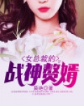女总裁的最佳赘婿