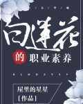 白莲花的职业素养