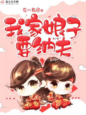 我家娘子全文阅读
