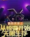 我的世界之从惊变开始无限生存
