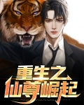 重生之仙尊崛起