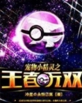 神奇宝贝之富二代的逆袭