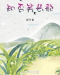 知否我是袁文绍