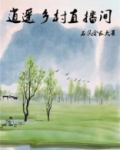 逍遥乡村直播间
