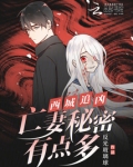 西城是哪部电视剧
