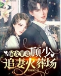 偏宠罪妻:顾少,追妻火葬场 姒城城