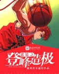 灌篮之登峰造极 随风但不逝