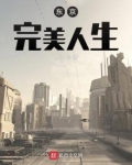 东京完美人生小说