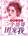 全能小祖宗：三个哥哥团宠我