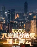 权财巅峰：我靠着政法系直上青云