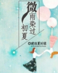 初夏微雨意思