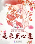 摄政王妃是朵黑心莲 林孀缈