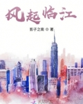 临江风要多少钱一盒