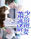 一胎两宝：萧少的逃跑娇妻