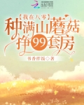 我在八零忙挣钱