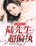 隐婚掠爱：陆先生超偏执