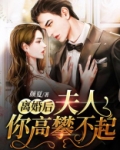 离婚后,夫人你高攀不起全文免费阅读