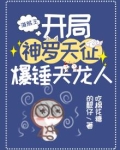 海贼王：开局神罗天征，爆锤天龙人