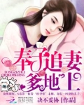 奉子追婚:爹地又暖又贴心 小说