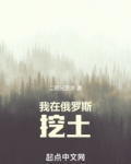 我在俄罗斯挖土小说