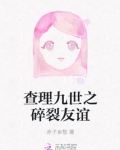 查理九世友谊,真的能相信吗?