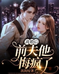 离婚后前夫他悔疯了免费阅读笔趣阁小说