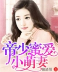 帝少密宠小萌妻免费版
