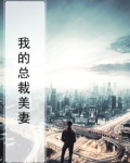 我的美总裁老婆,作者流浪