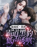 暴雨夜,我被霸道黑豹低声诱哄! 宋星主