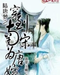 陆唐梦之穿到南宋为唐婉