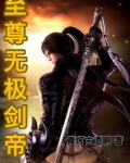 至尊无极剑帝小说txt
