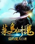 菜鸟魔音
