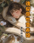 魂穿兽类的小说