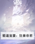 霸道宠妻:狂暴帝君