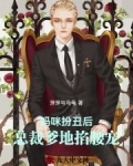 妈咪总裁爹地太坏了朱宝宝搜书网