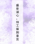 盛世谋心：特工嫁到皇宫