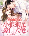 夫人,捡来的小狼狗是豪门大佬免费阅读