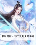 双世宠妃:邪王爱到天荒地老小说