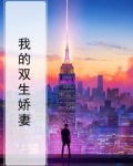 我的双生娇妻小说