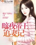 暗夜帝王追妻记