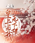 皇上宠我无下限