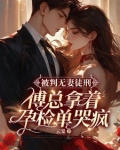 被判无妻徒刑,傅总拿着孕检单哭疯免费阅读