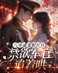 八零军婚小说完结排行