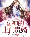 女神的上门贵婿全文