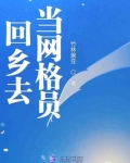 回乡去当网格员好吗