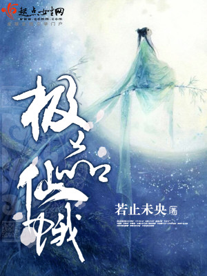 极品仙姿 小说